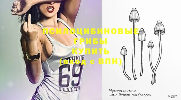 бошки Бугульма