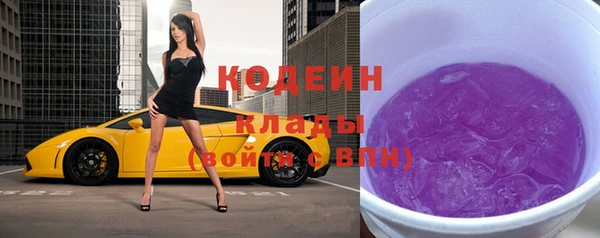 гашик Бородино