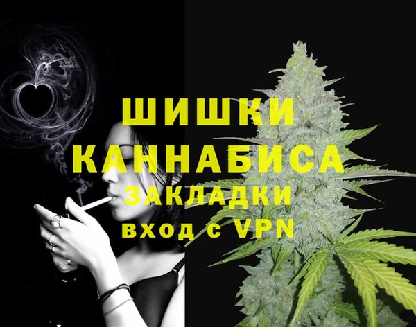 гашик Бородино