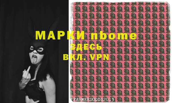 гашик Бородино